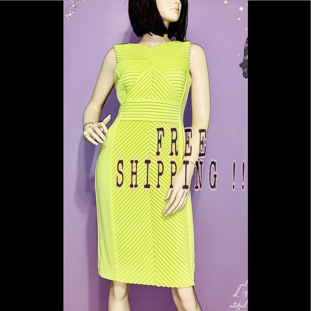 CALVIN KLEIN • gorgeous peridot greens read/ (8) !